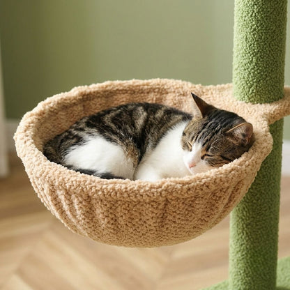 Arbre a chat sol au plafond