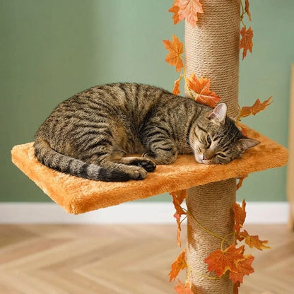 Arbre a chat sol plafond