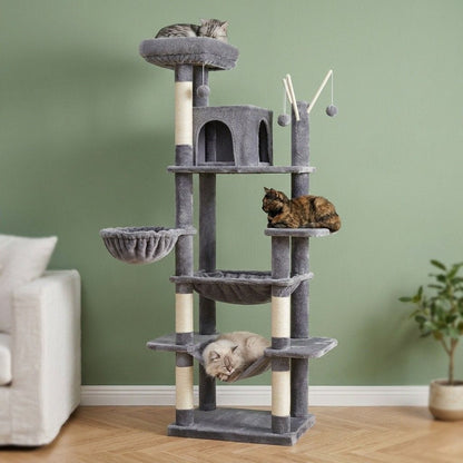 Grand arbre a chat maine coon