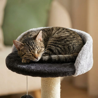 Petit arbre a chat avec griffoir