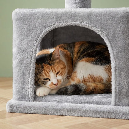 Petit arbre a chat gris