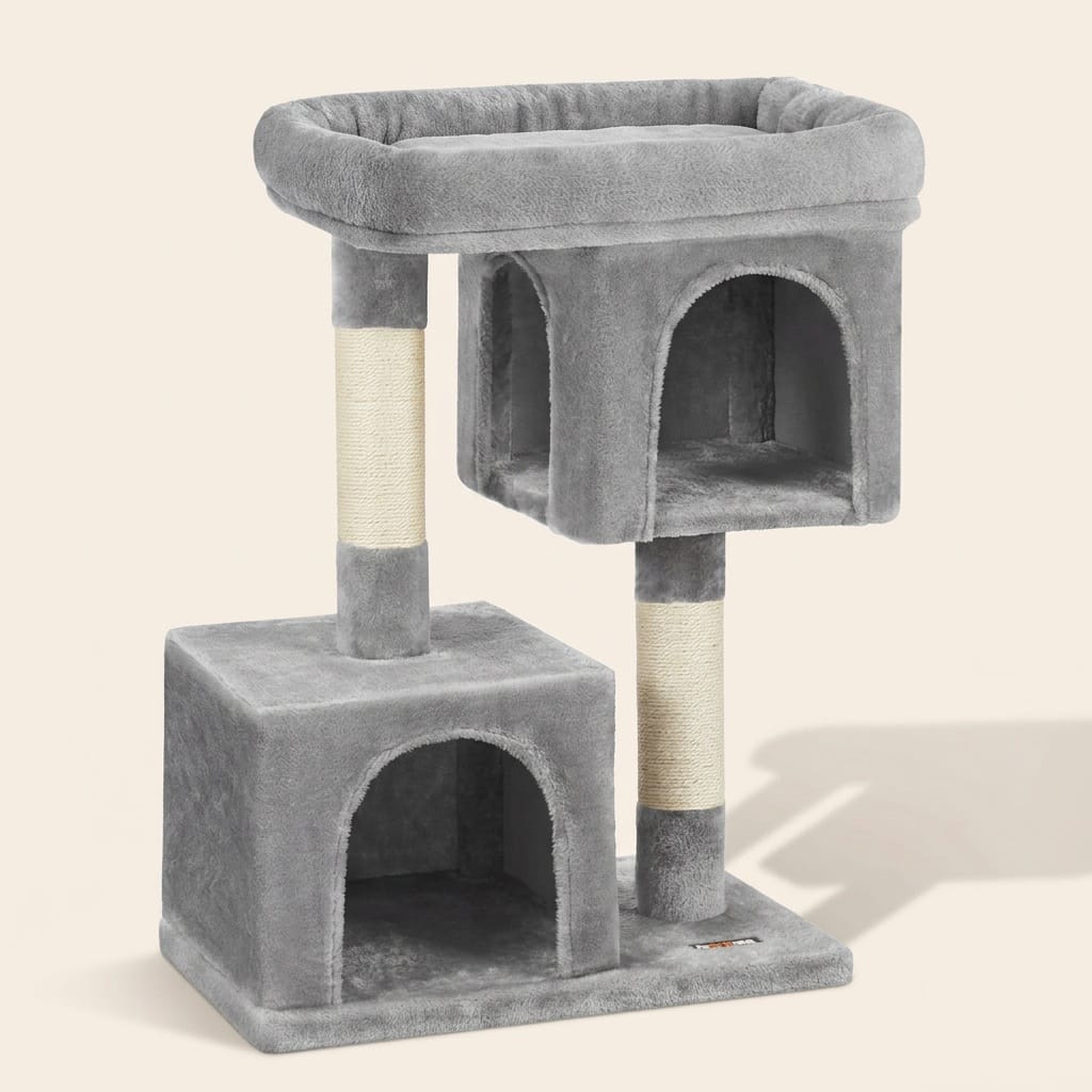 Petit arbre a chat gris